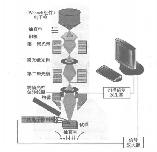 臺式掃描電子顯微鏡結(jié)構(gòu)原理示意圖