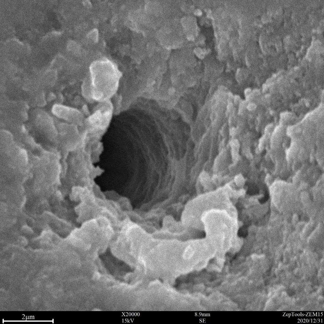 臺(tái)式掃描電鏡2萬(wàn)倍下的孔洞特寫(xiě)