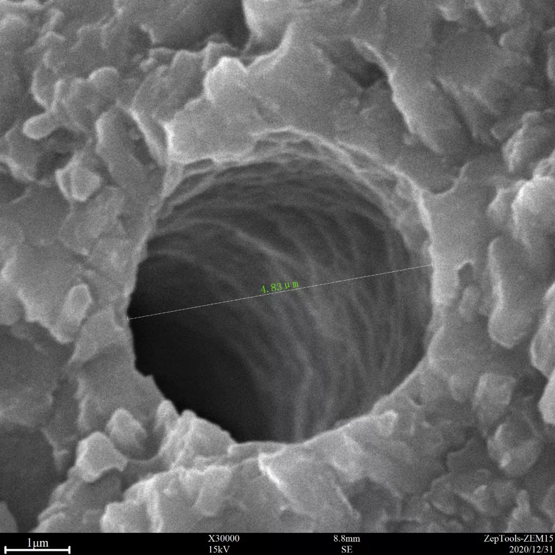 臺(tái)式掃描電鏡3萬(wàn)倍下的孔洞特寫(xiě)